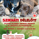 Szikháti Délelőtt
